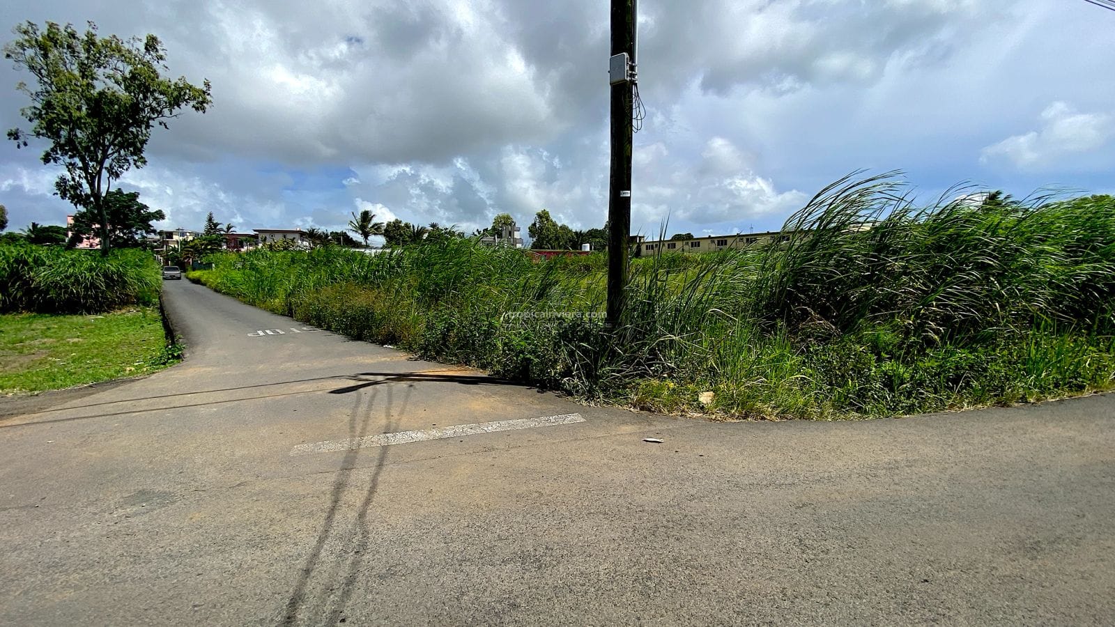 Residential Land for Sale in Vacoas – 1,492 m² Plot on Abattoir Road