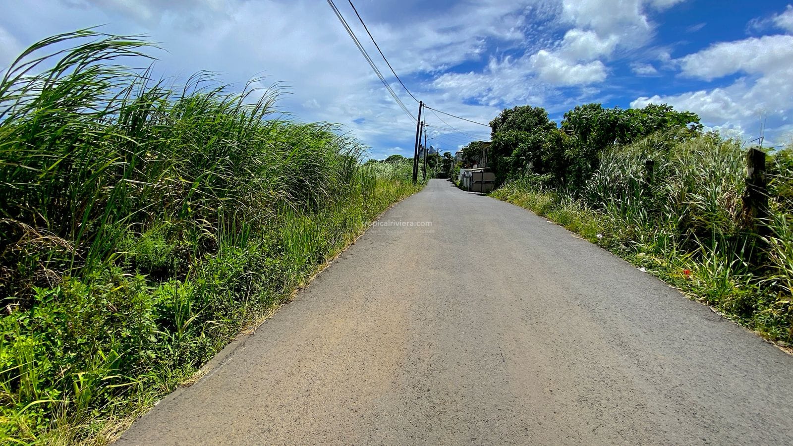 Residential Land for Sale in Vacoas – 1,492 m² Plot on Abattoir Road