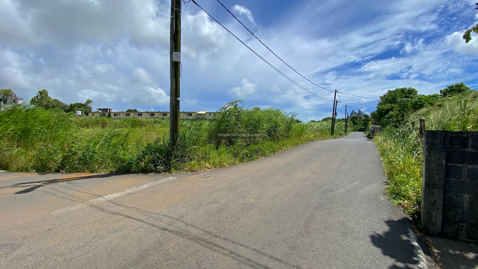 Residential Land for Sale in Vacoas – 1,492 m² Plot on Abattoir Road