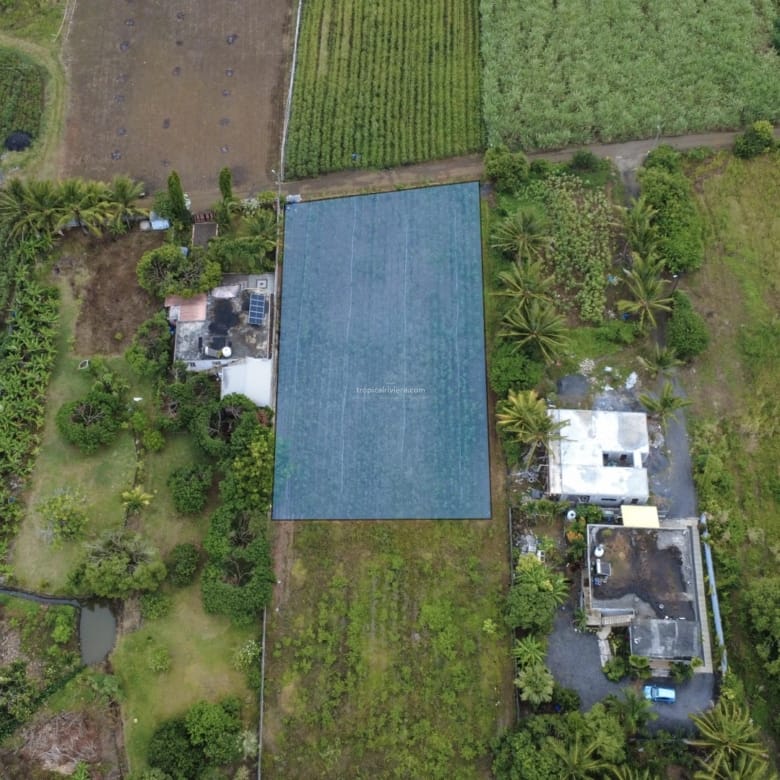 Terrain résidentiel à vendre à Hermitage, Flacq – 1 857 m²