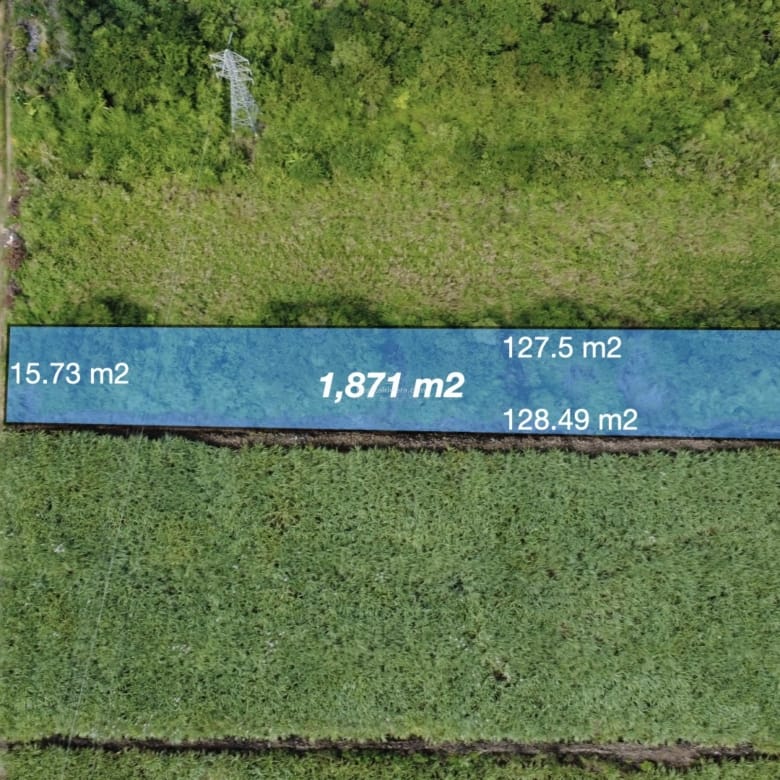 Agricultural Land for Sale in Bon Accueil, Flacq, Mauritius – 1,891 m²