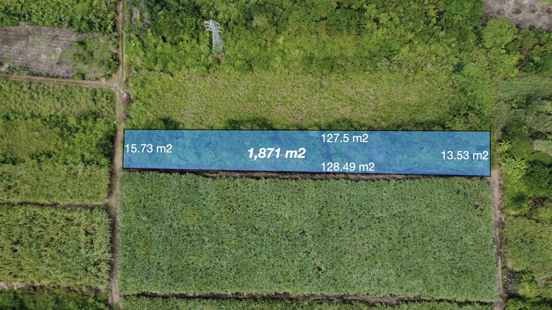 Agricultural Land for Sale in Bon Accueil, Flacq, Mauritius – 1,891 m²