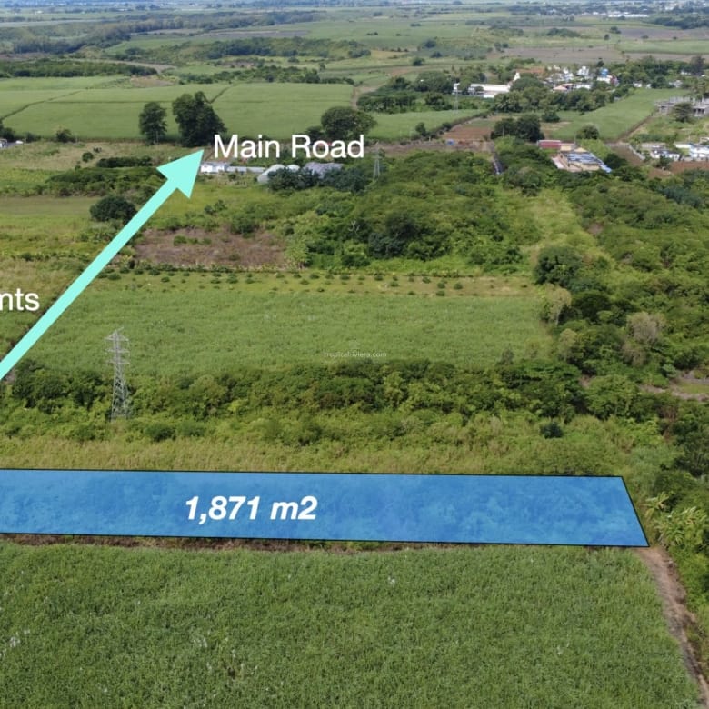 Agricultural Land for Sale in Bon Accueil, Flacq, Mauritius – 1,891 m²