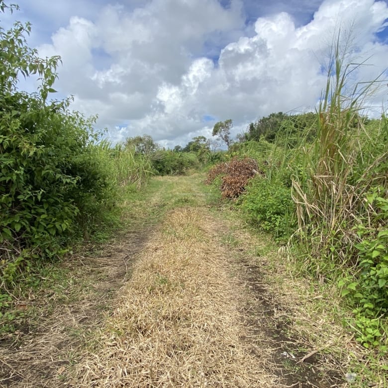 Agricultural Land for Sale in Bon Accueil, Flacq, Mauritius – 1,891 m²