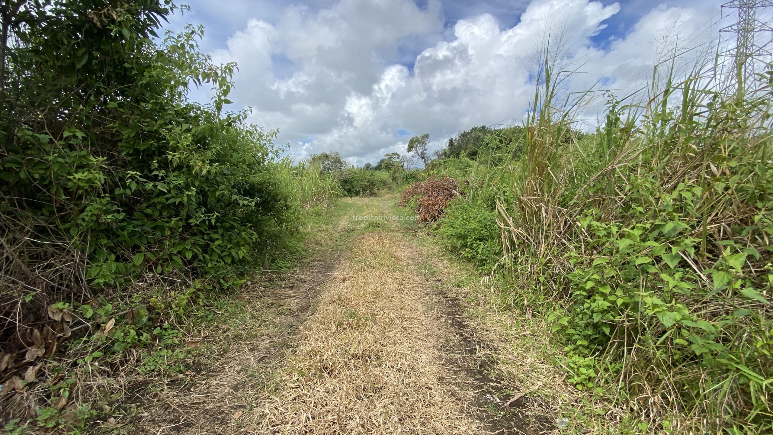 Agricultural Land for Sale in Bon Accueil, Flacq, Mauritius – 1,891 m²