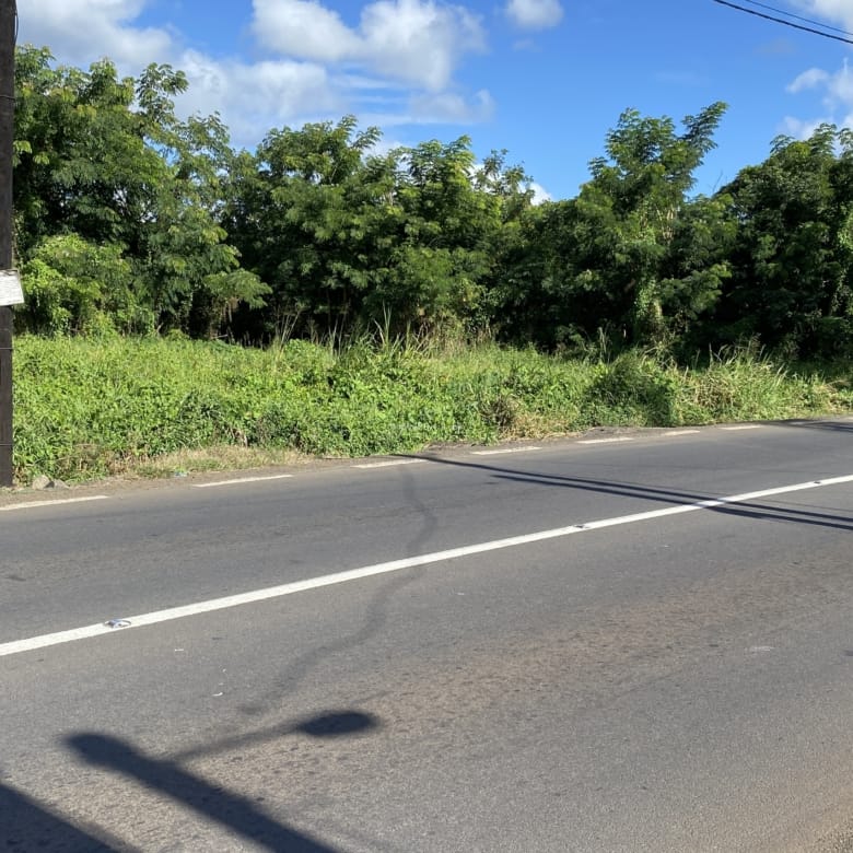 Terrain commercial à vendre à Arsenal, à Maurice – 6 893 m² sur la route principale