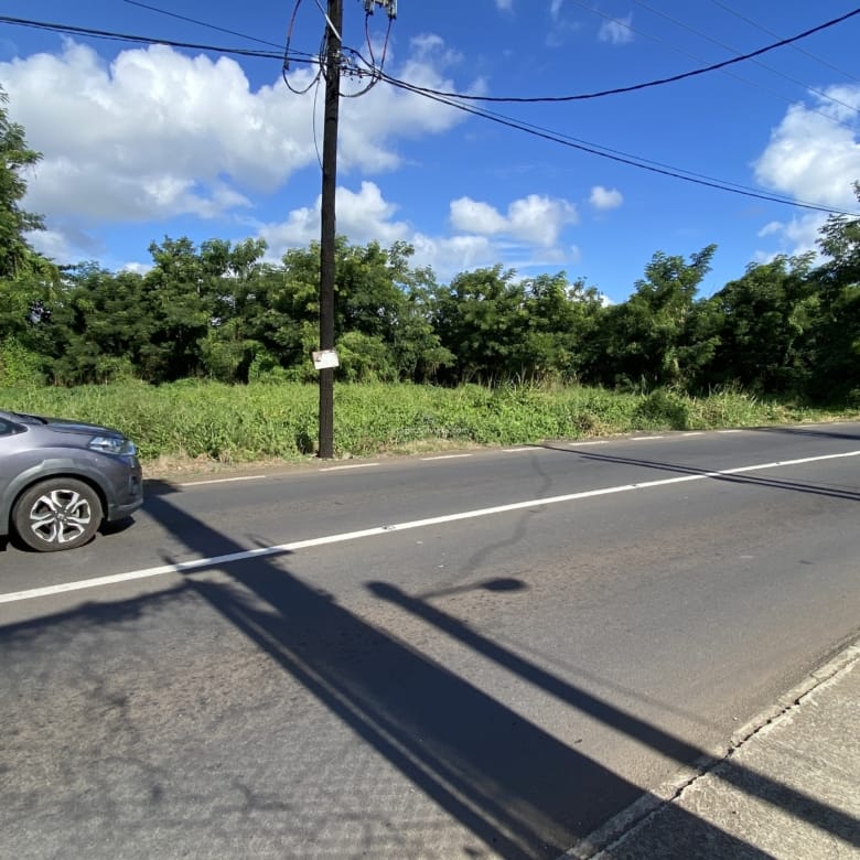 Terrain commercial à vendre à Arsenal, à Maurice – 6 893 m² sur la route principale