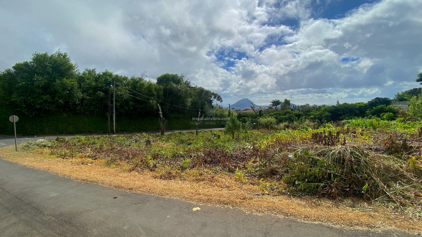 Residential Land for Sale – 1,900 m² (500 Toises) with Mountain & Ocean Views | Floreal, Curepipe