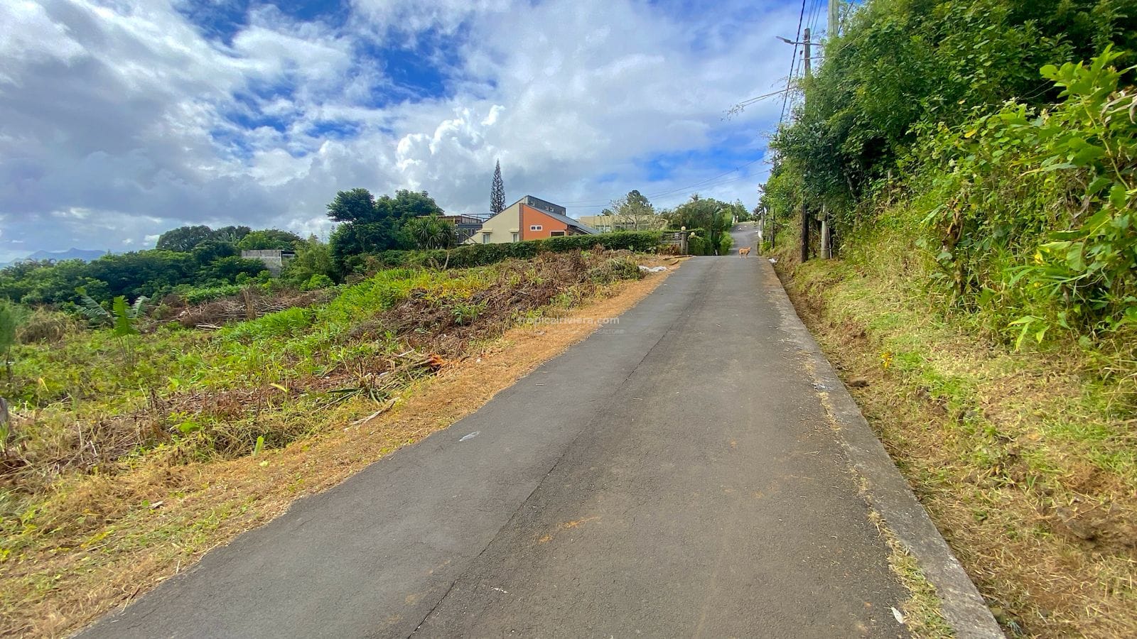 Residential Land for Sale – 1,900 m² (500 Toises) with Mountain & Ocean Views | Floreal, Curepipe