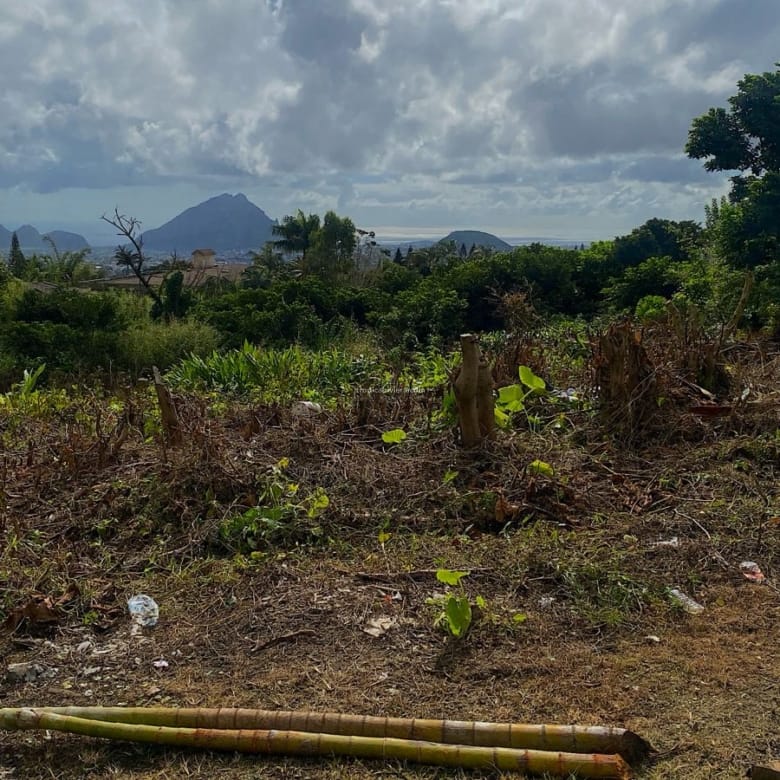 Residential Land for Sale – 1,900 m² (500 Toises) with Mountain & Ocean Views | Floreal, Curepipe