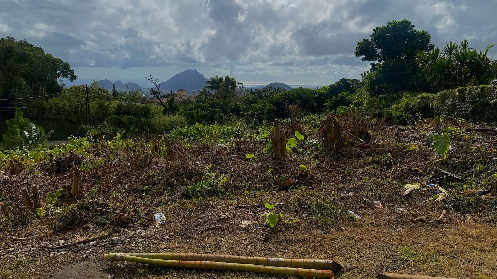 Residential Land for Sale – 1,900 m² (500 Toises) with Mountain & Ocean Views | Floreal, Curepipe