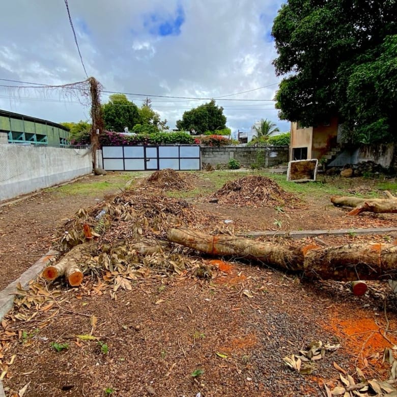 Rental – Polyvalent Building with Large Gated Yard in Rose Hill Centre