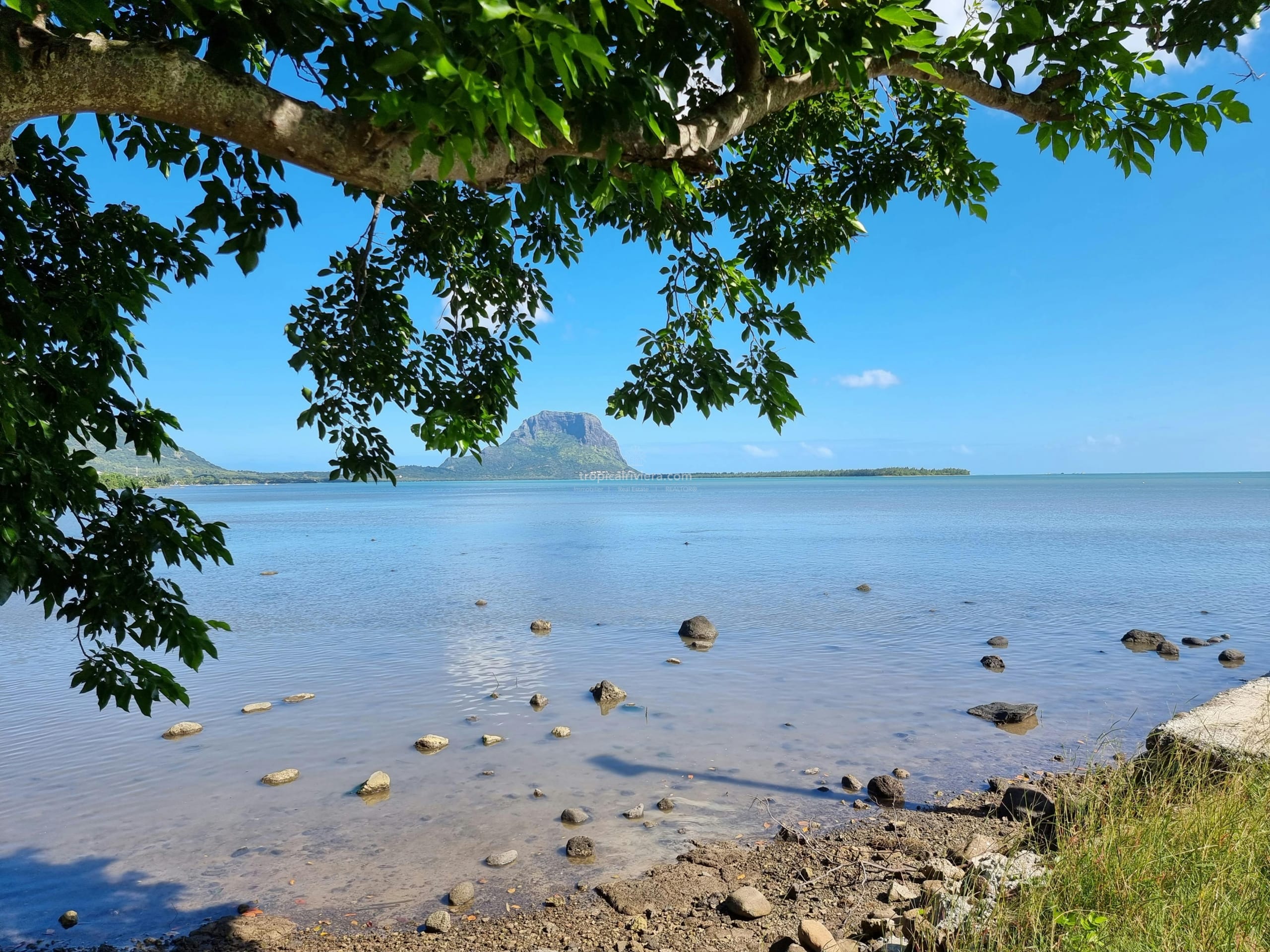 International property buyer representation in Mauritius