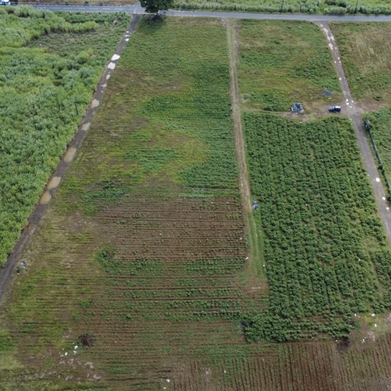 À vendre – Terrain à usage résidentiel de 633,59 m² à Hermitage, Flacq