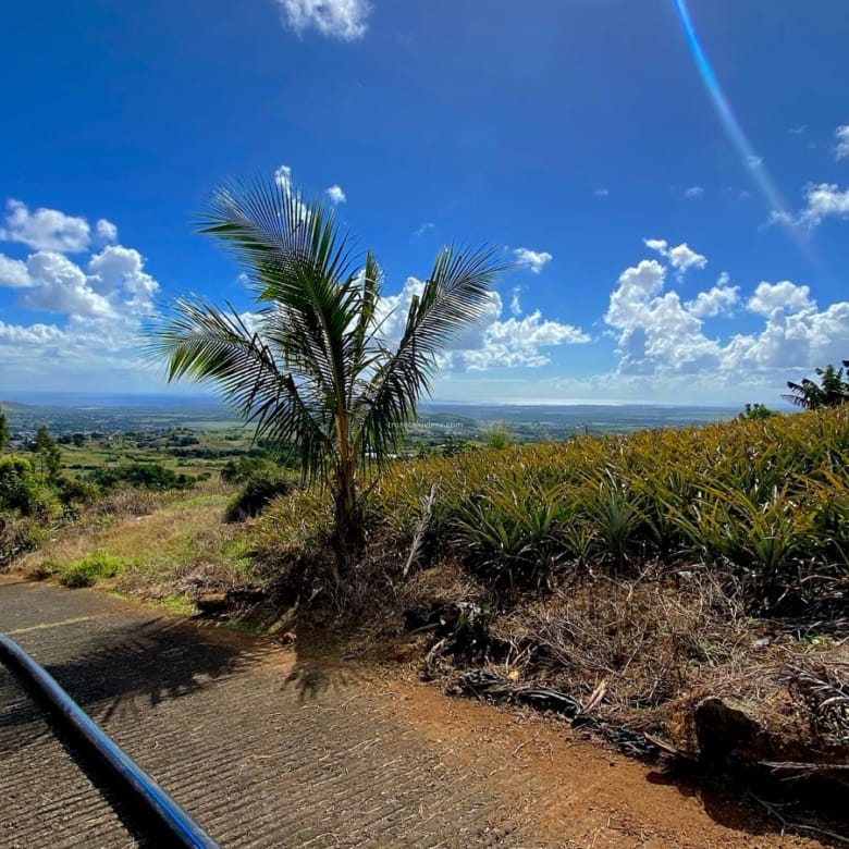 Agricultural Land for Sale in Les Mariannes | 3,075.86 m² with Panoramic Views & Stream