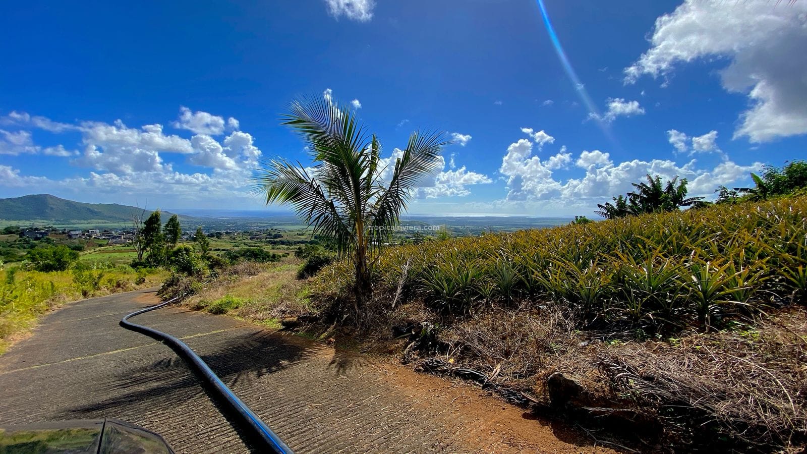 Agricultural Land for Sale in Les Mariannes | 3,075.86 m² with Panoramic Views & Stream