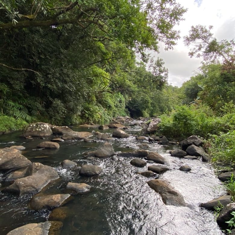 Riverside Residential / Commercial Land 6,109 m² (145 Perches) – Rivière du Poste