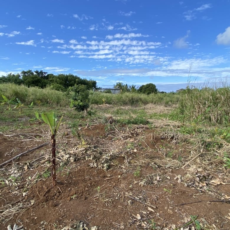 Terrain à bâtir à vendre  883,27 m² – Plaine de Gersigny, Flacq