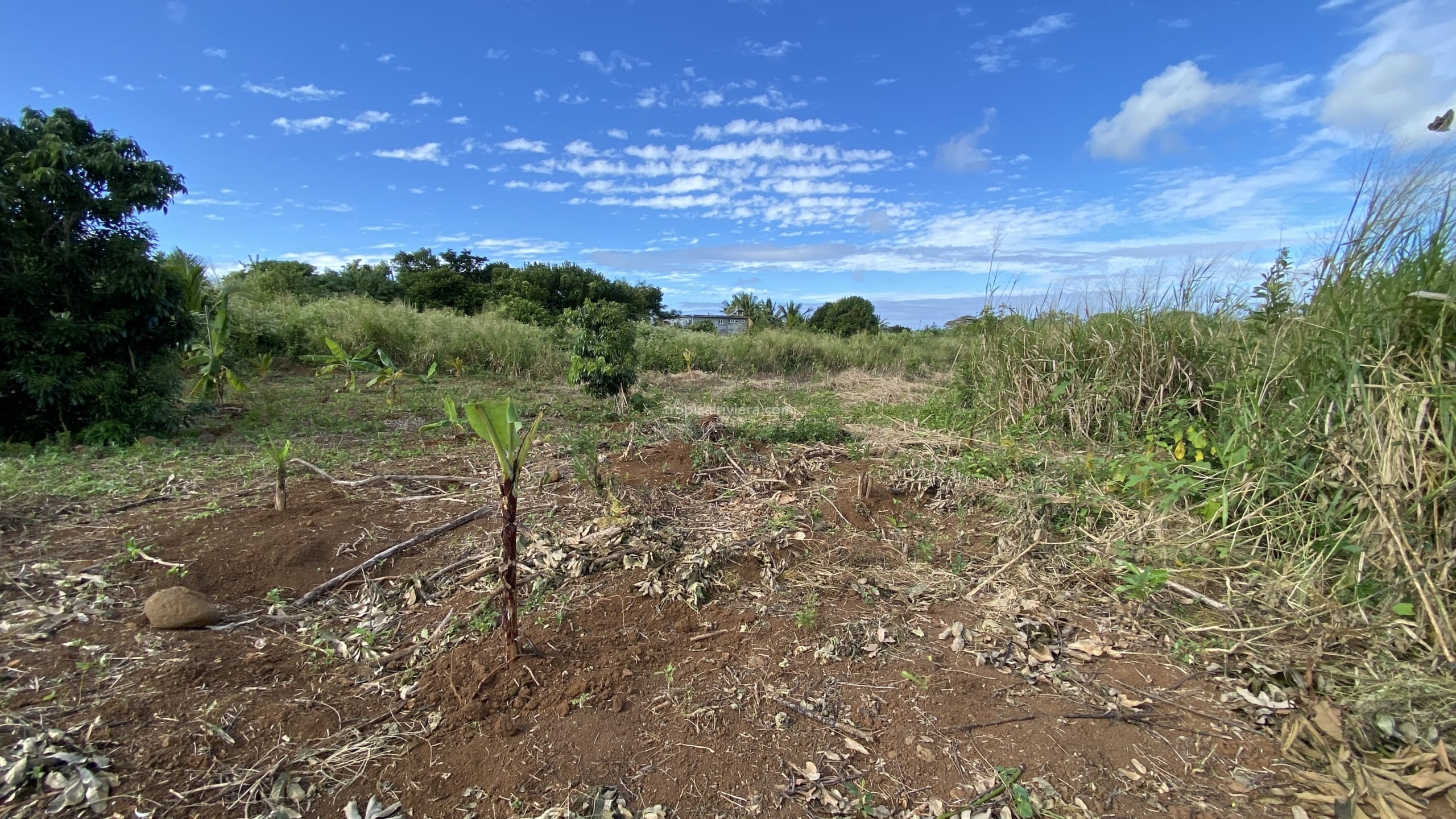 Terrain à bâtir à vendre  883,27 m² – Plaine de Gersigny, Flacq