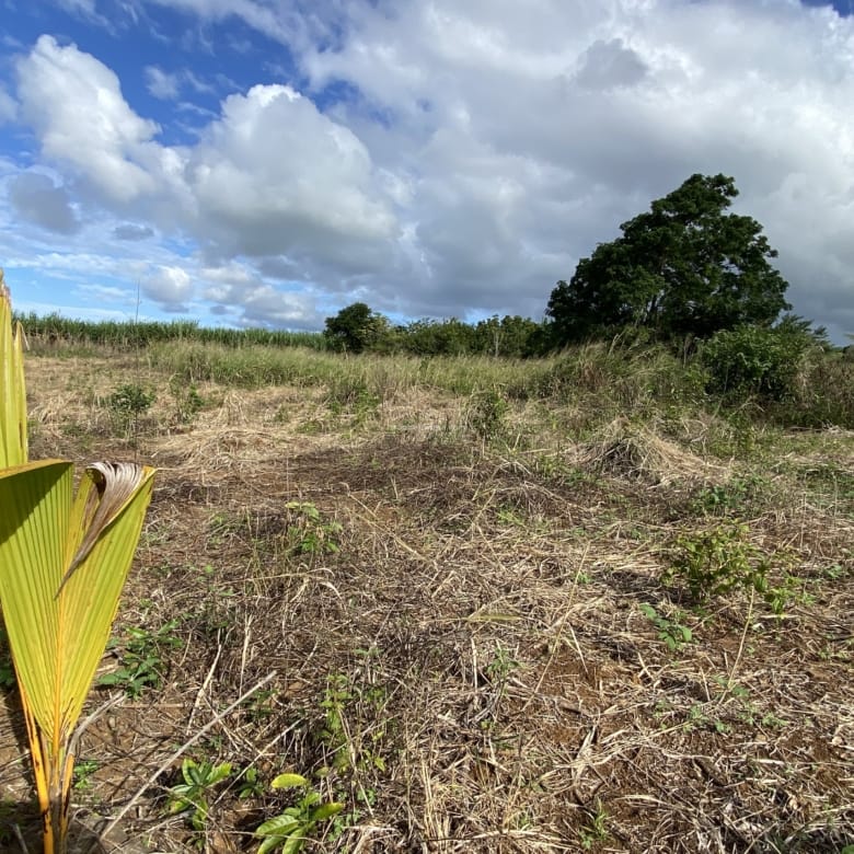 Terrain à bâtir à vendre  883,27 m² – Plaine de Gersigny, Flacq