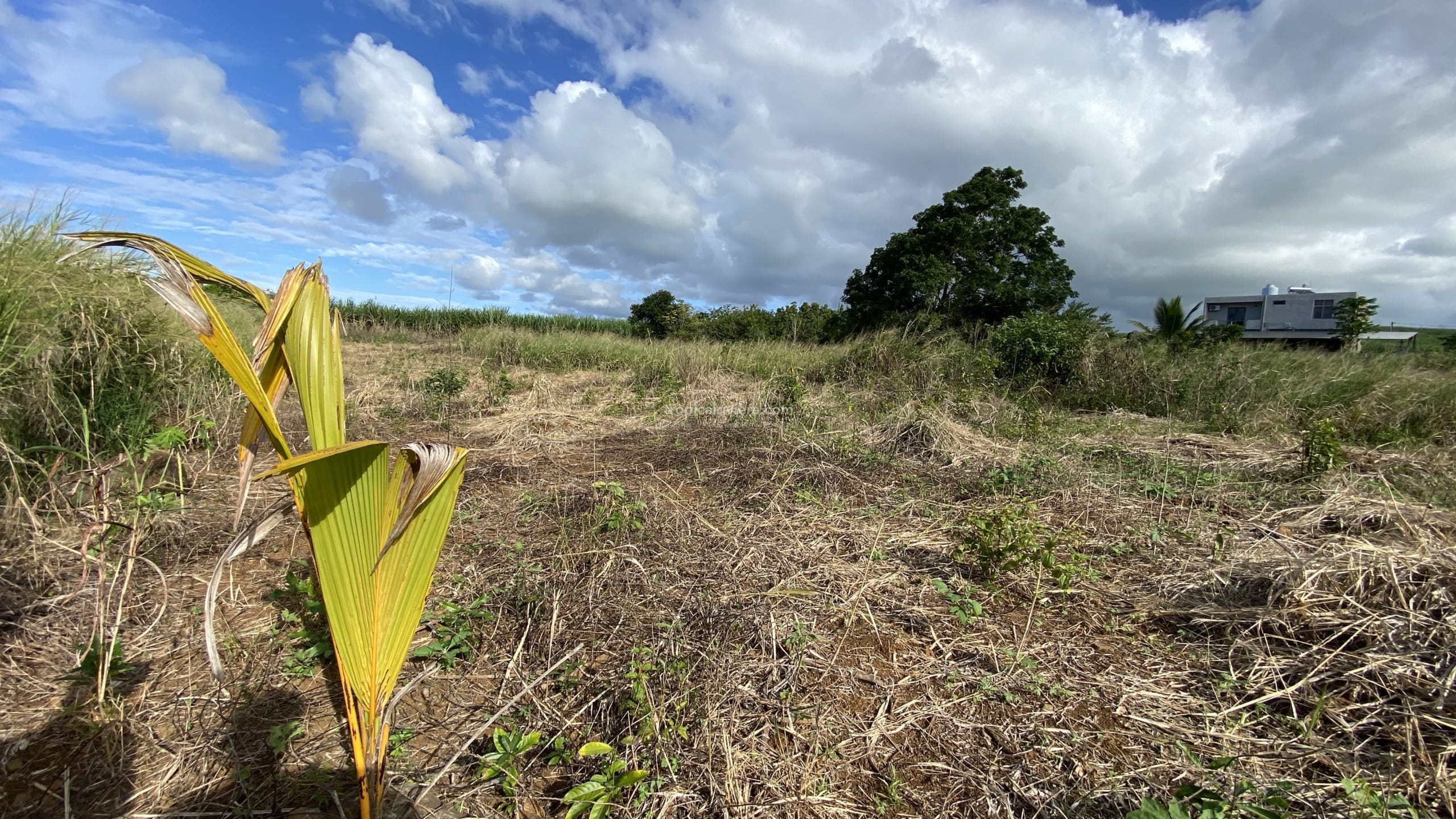Terrain à bâtir à vendre  883,27 m² – Plaine de Gersigny, Flacq