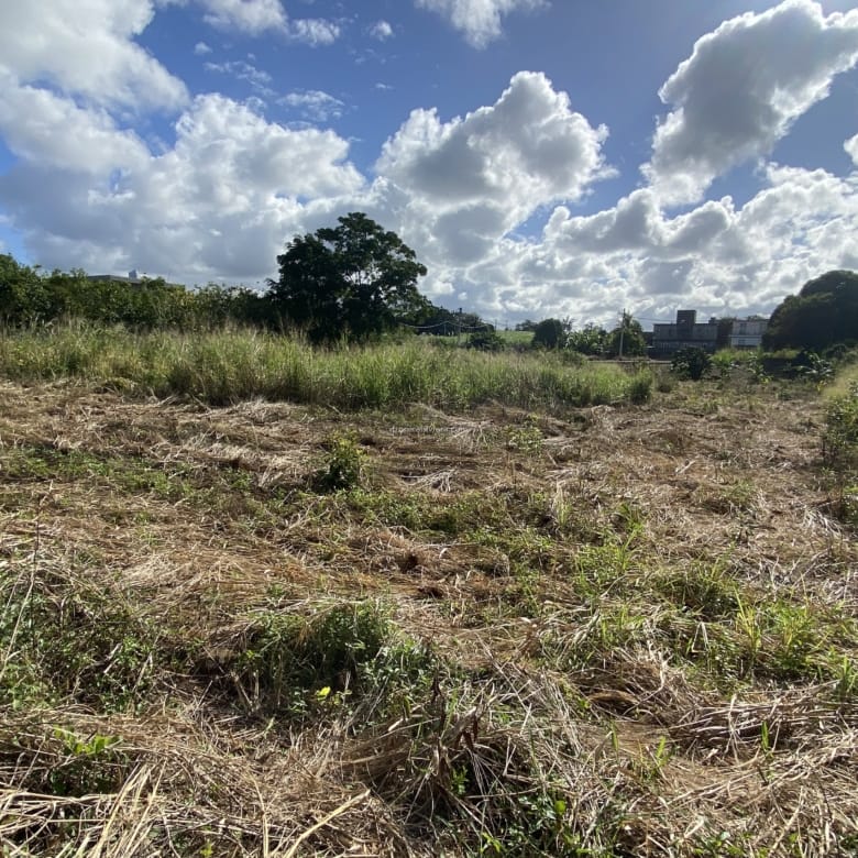 Terrain à bâtir à vendre  883,27 m² – Plaine de Gersigny, Flacq