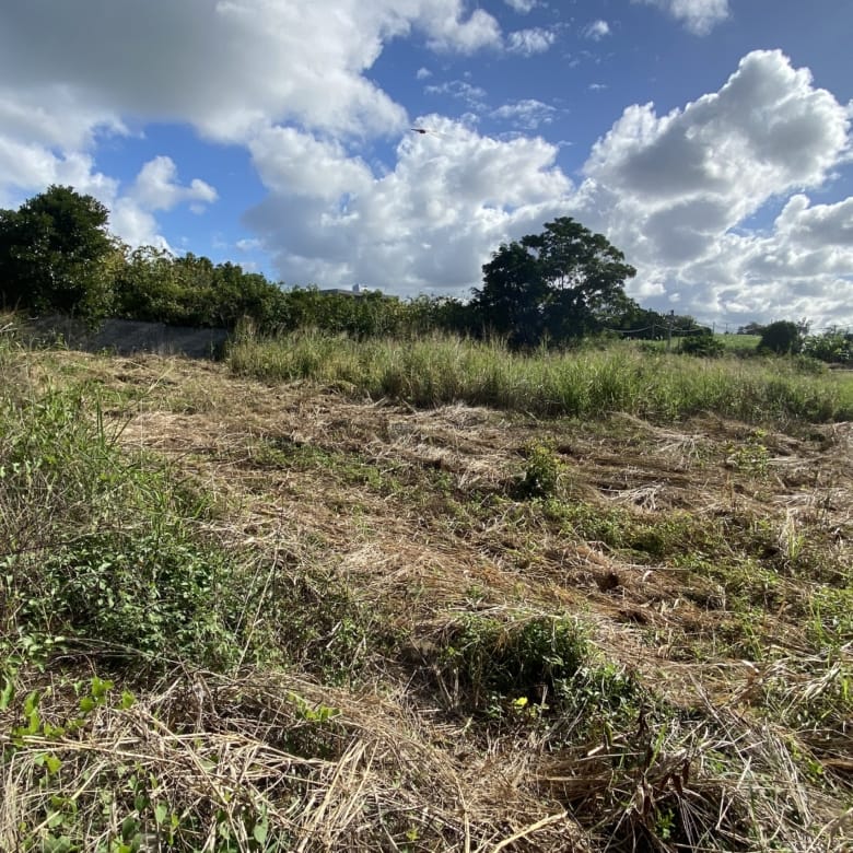 Terrain à bâtir à vendre  883,27 m² – Plaine de Gersigny, Flacq