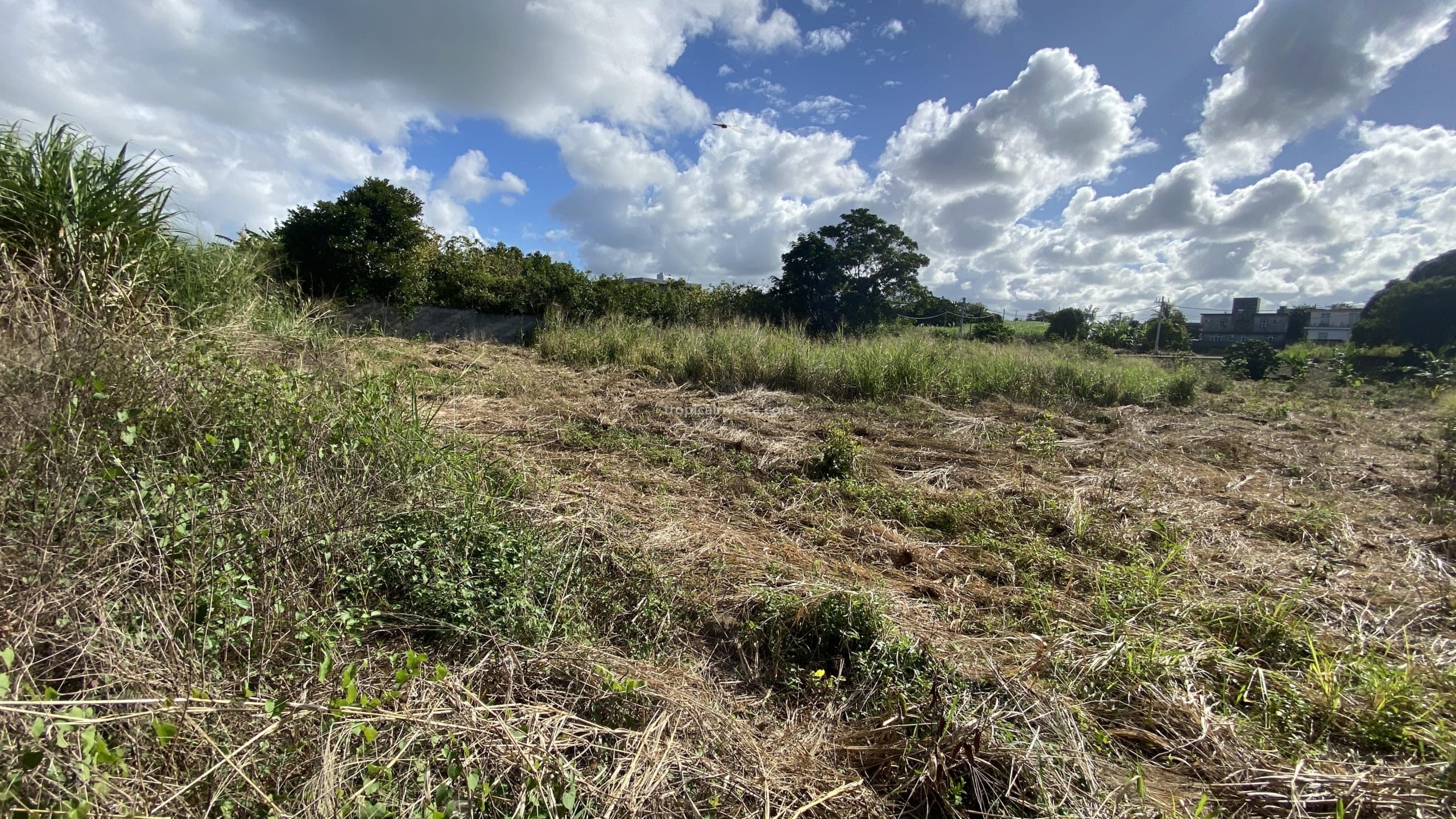 Terrain à bâtir à vendre  883,27 m² – Plaine de Gersigny, Flacq