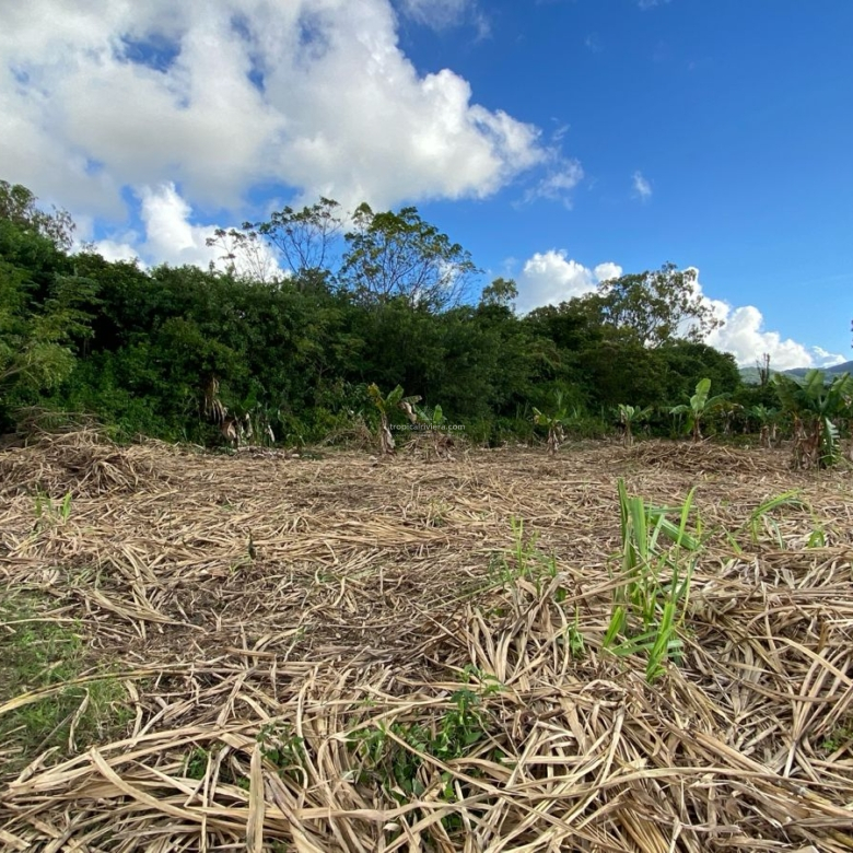 Agricultural Land for Sale – Bon Accueil, Flacq | 5,800 m²