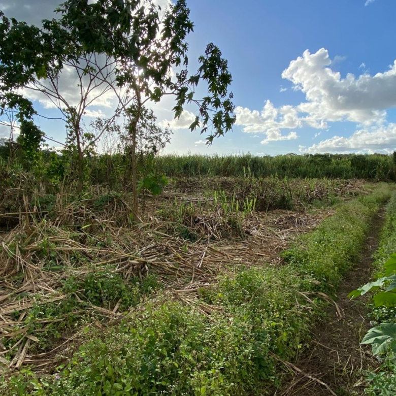 Agricultural Land for Sale – Bon Accueil, Flacq | 5,800 m²