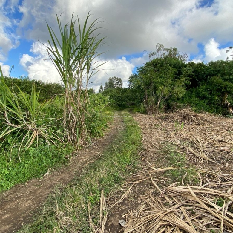 Agricultural Land for Sale – Bon Accueil, Flacq | 5,800 m²