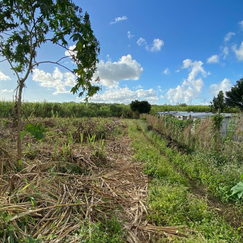 Agricultural Land for Sale – Bon Accueil, Flacq | 5,800 m²