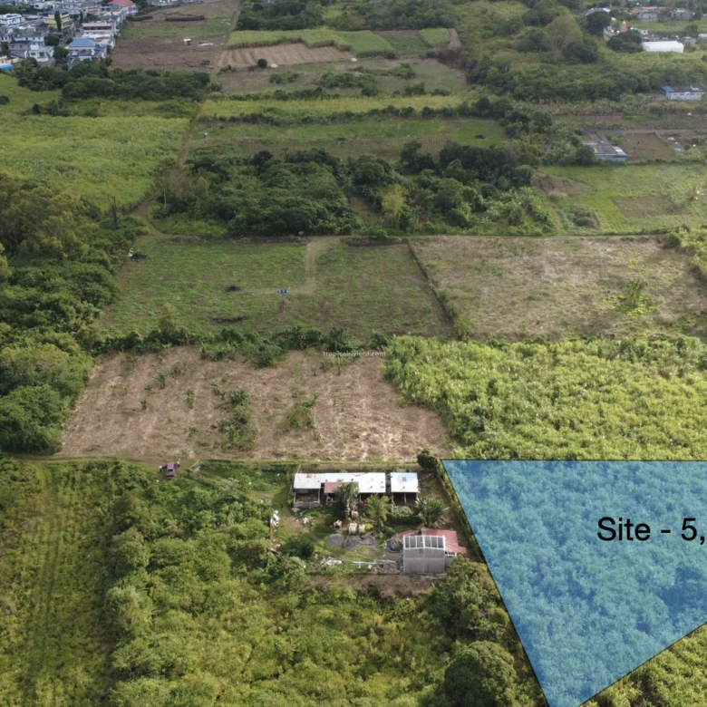 Agricultural Land for Sale – Bon Accueil, Flacq | 5,800 m²
