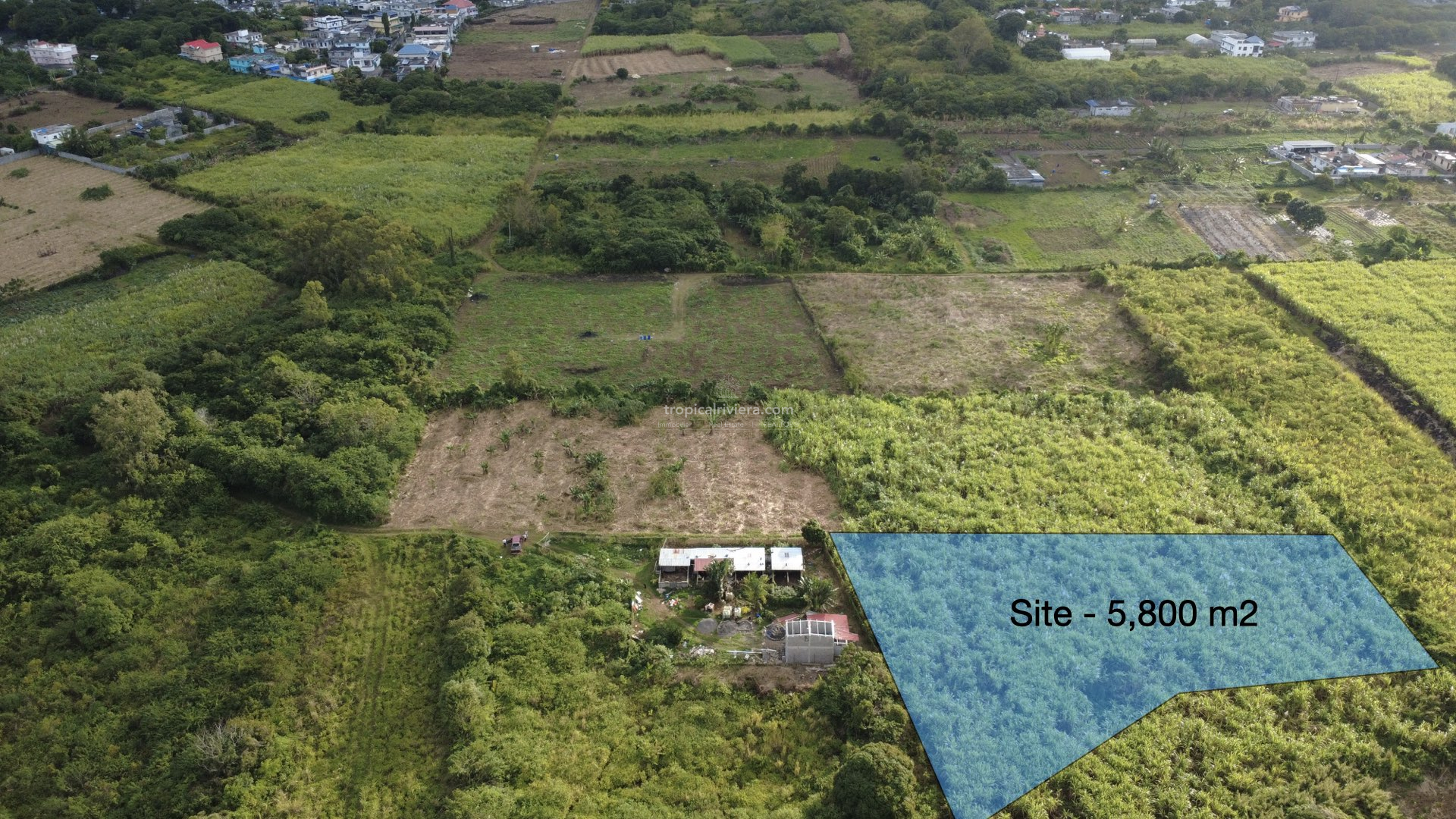 Agricultural Land for Sale – Bon Accueil, Flacq | 5,800 m²