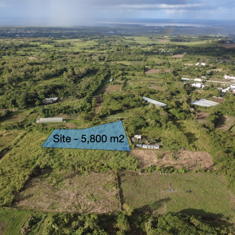 Agricultural Land for Sale – Bon Accueil, Flacq | 5,800 m²