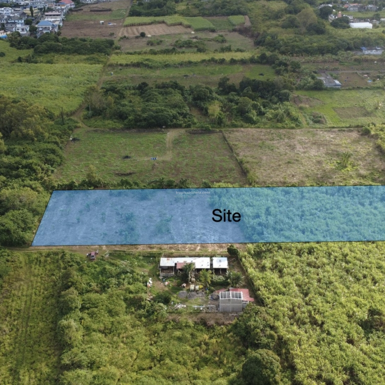 Agricultural Land for Sale in Bon Accueil, Flacq – 7,767 m² Investment & Farming Opportunity