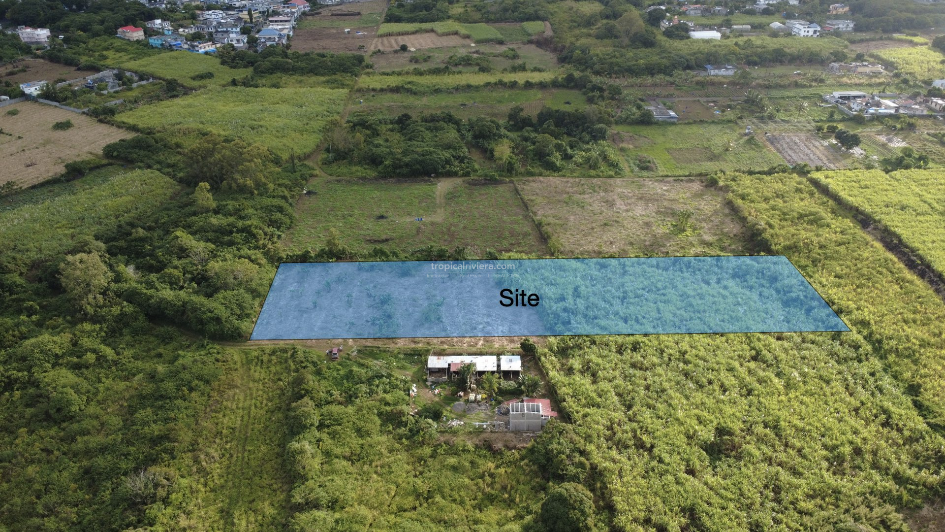 Agricultural Land for Sale in Bon Accueil, Flacq – 7,767 m² Investment & Farming Opportunity