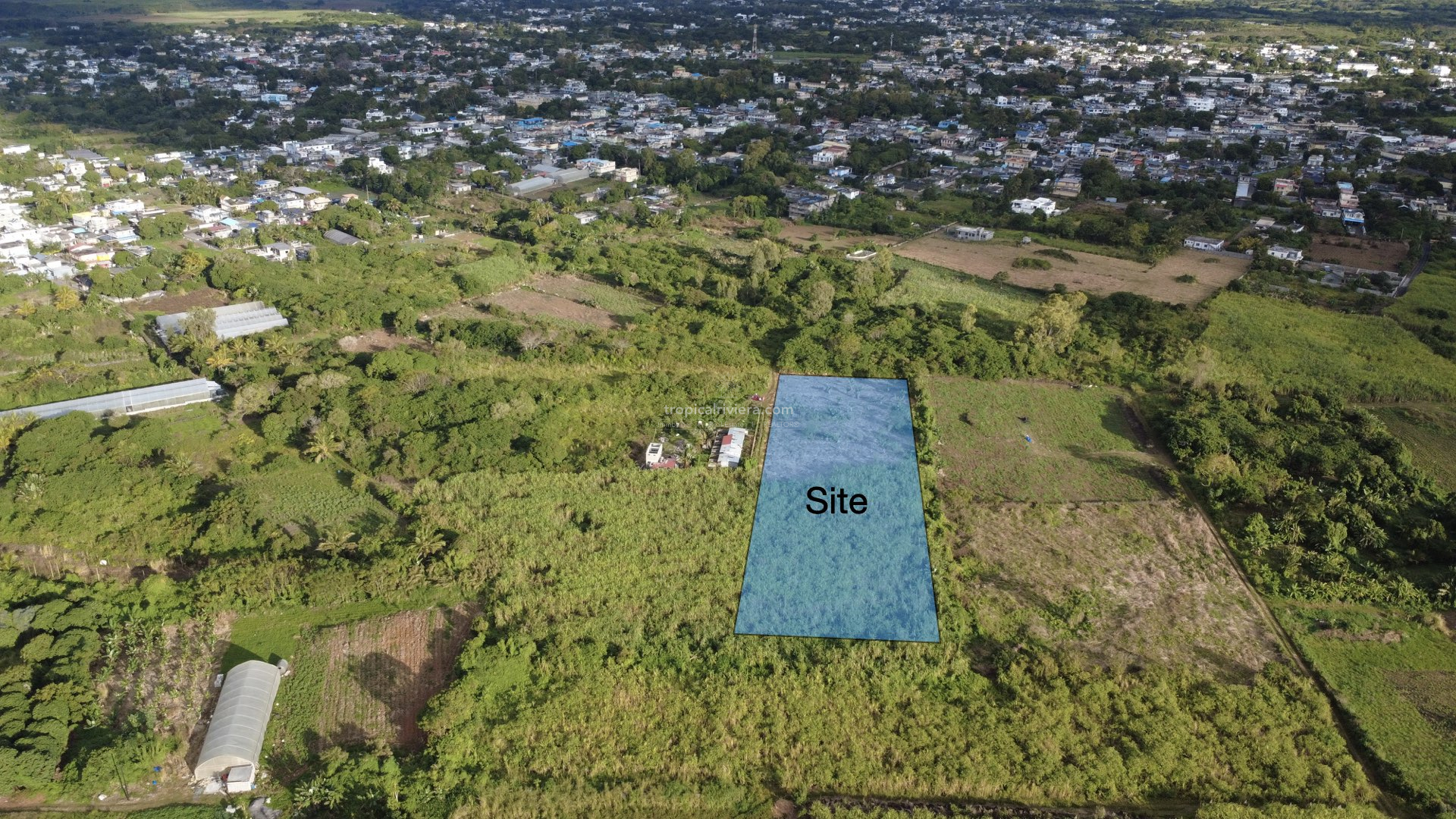Agricultural Land for Sale in Bon Accueil, Flacq – 7,767 m² Investment & Farming Opportunity