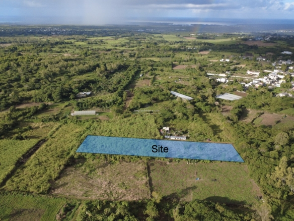 Agricultural Land for Sale in Bon Accueil, Flacq – 7,767 m² Investment & Farming Opportunity