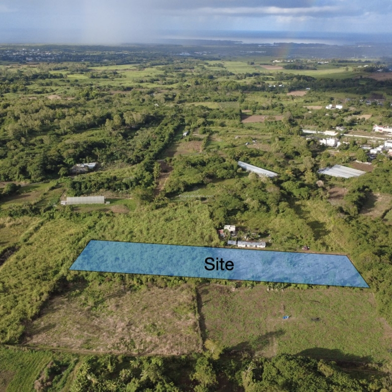 Agricultural Land for Sale in Bon Accueil, Flacq – 7,767 m² Investment & Farming Opportunity