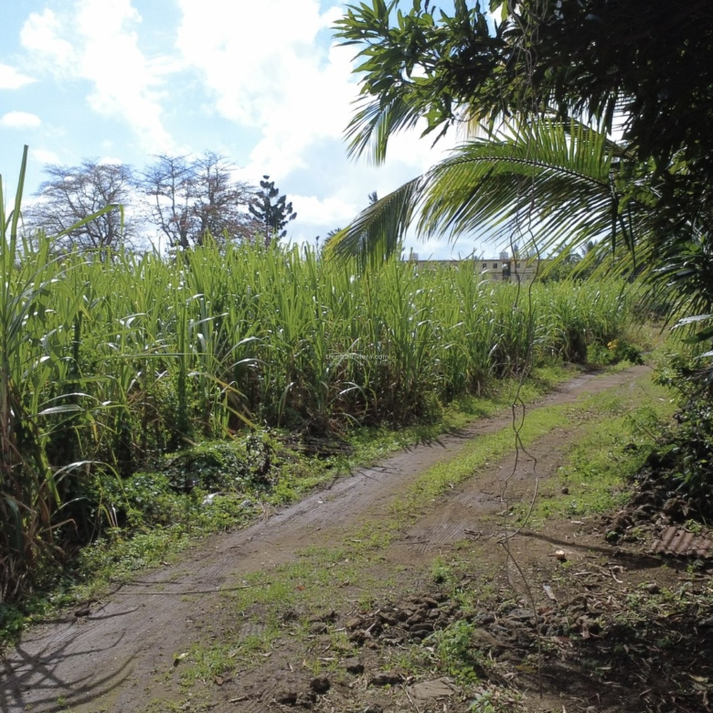 For Sale – Residential Land 669.8 m2 – Poste de Flacq