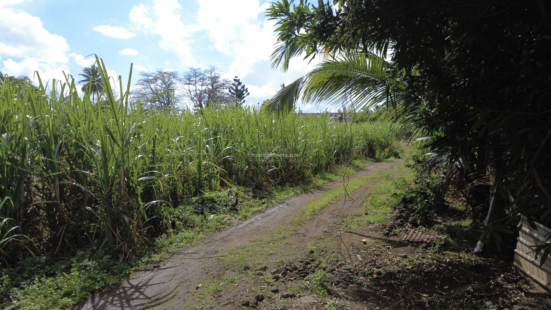 For Sale – Residential Land 669.8 m2 – Poste de Flacq