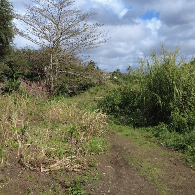 For Sale – Residential Land 669.8 m2 – Poste de Flacq