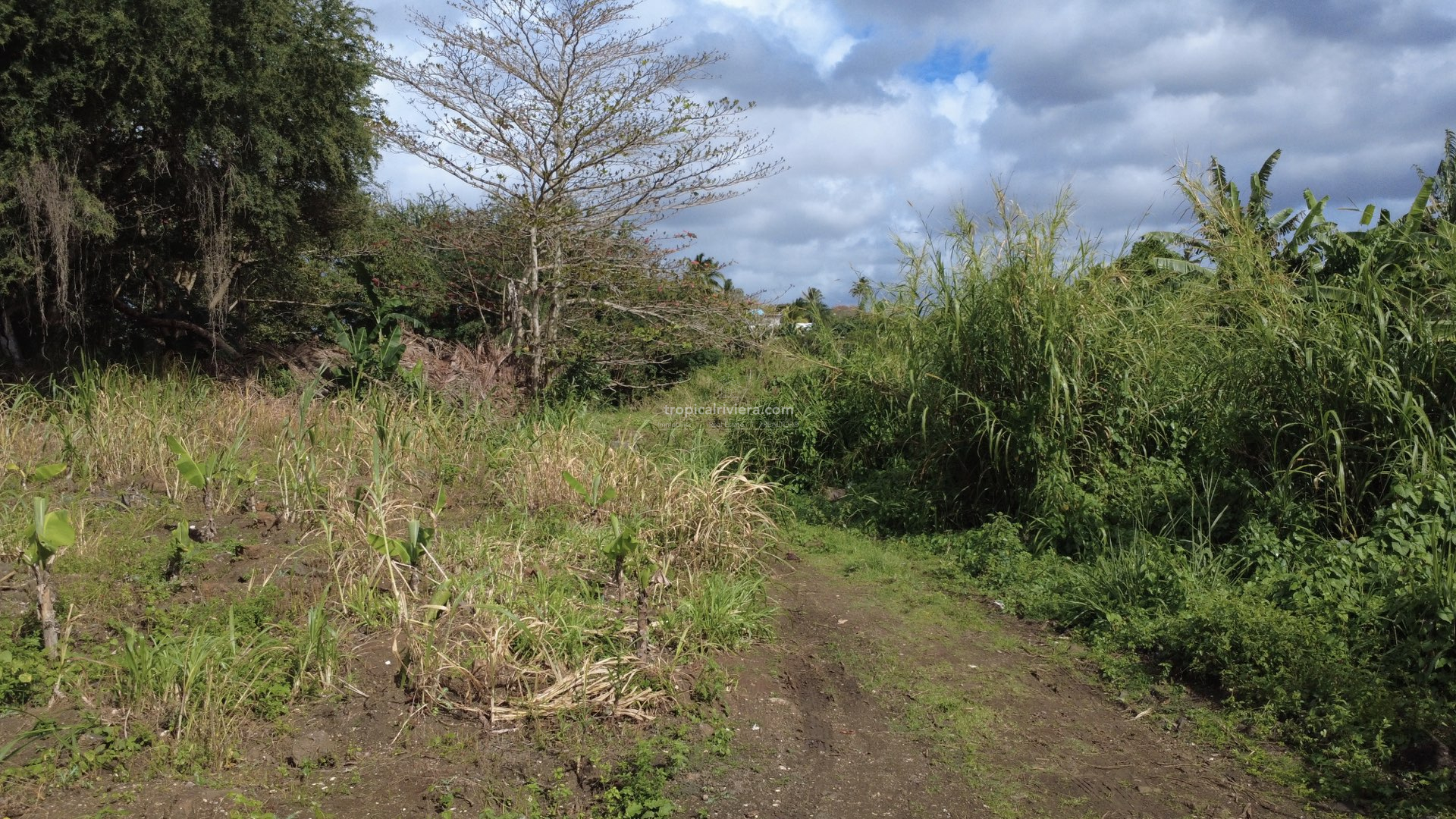 For Sale – Residential Land 669.8 m2 – Poste de Flacq