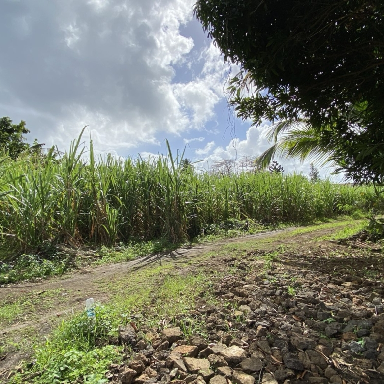 For Sale – Residential Land 669.8 m2 – Poste de Flacq