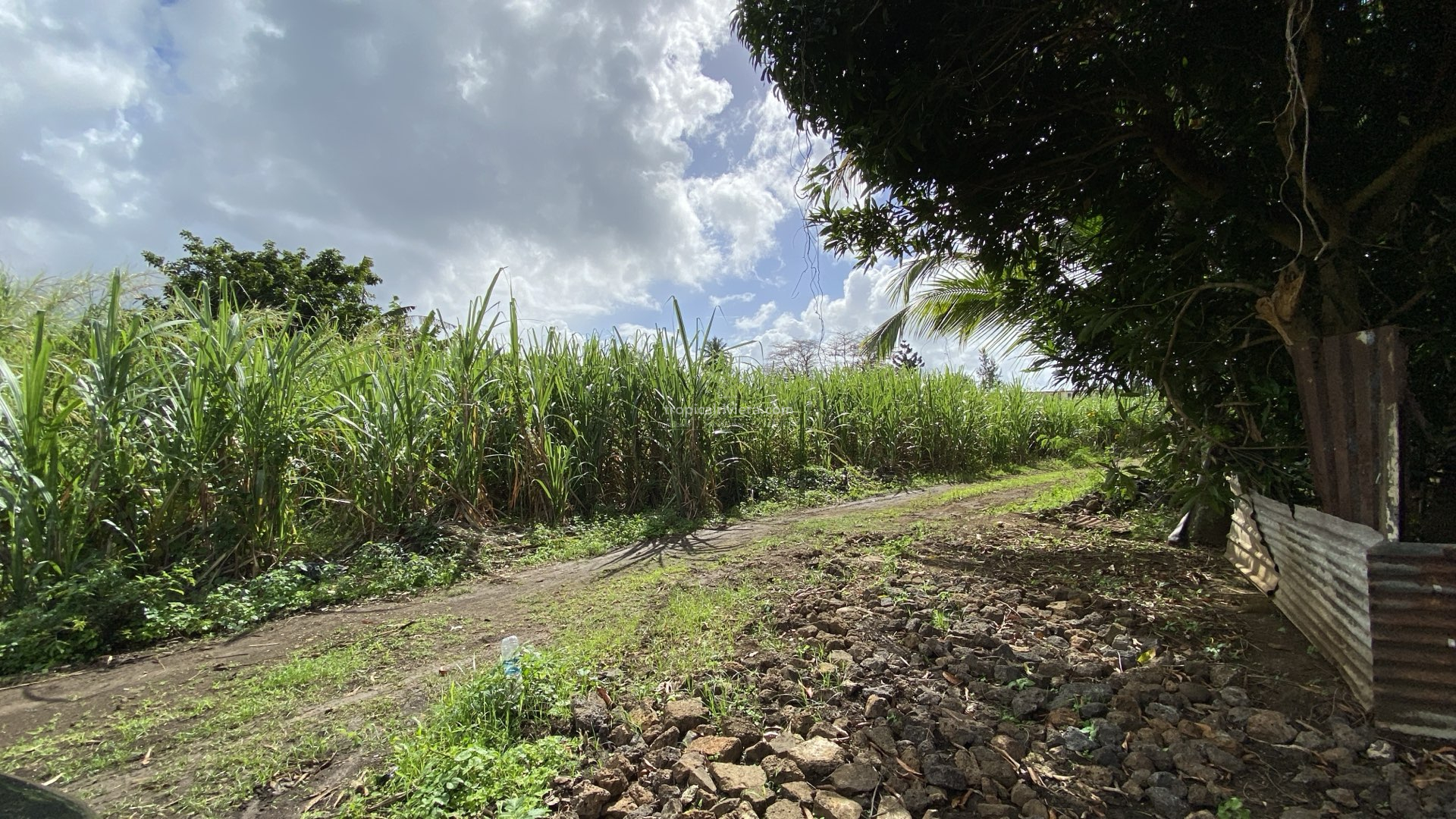 For Sale – Residential Land 669.8 m2 – Poste de Flacq