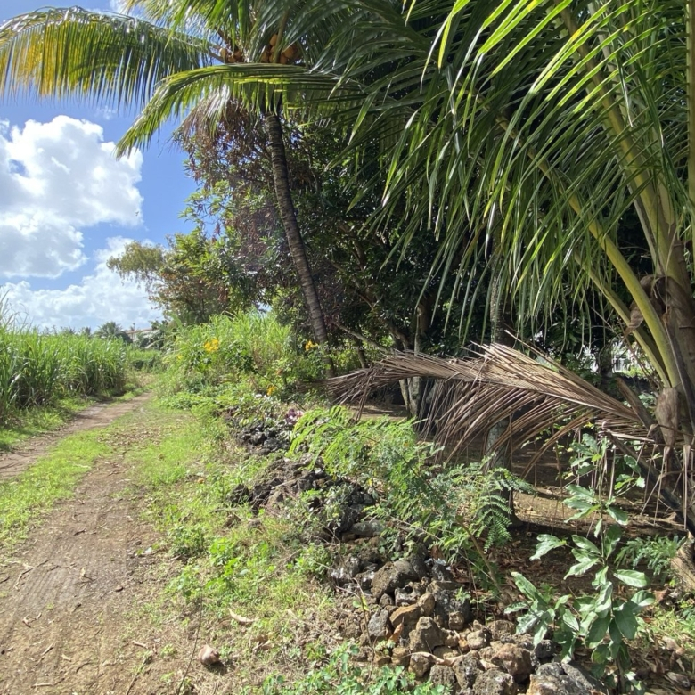 For Sale – Residential Land 669.8 m2 – Poste de Flacq