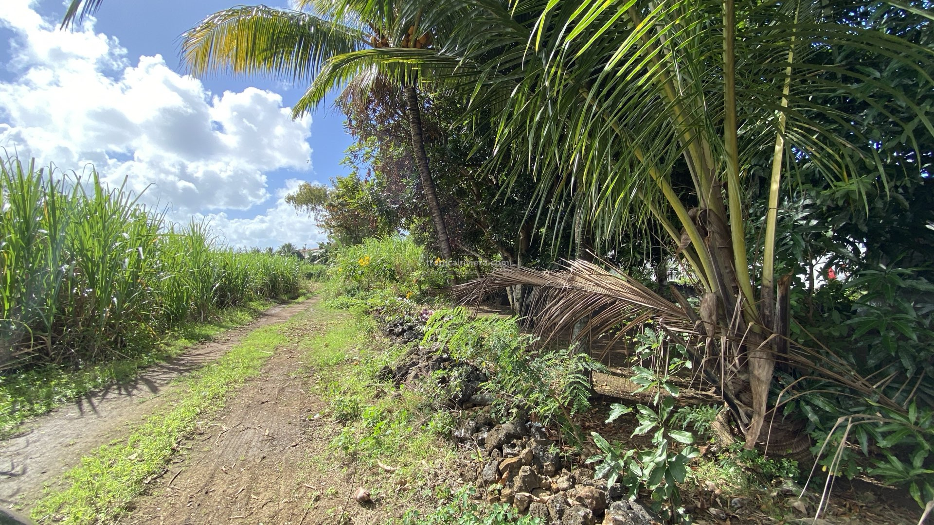 For Sale – Residential Land 669.8 m2 – Poste de Flacq