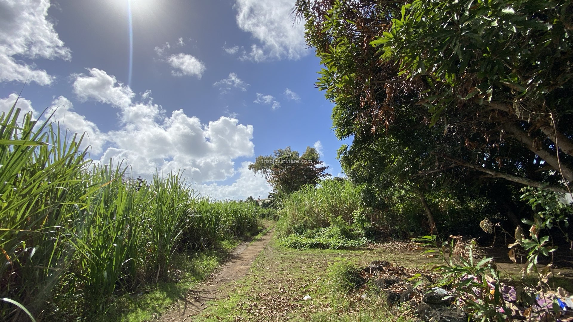 For Sale – Residential Land 669.8 m2 – Poste de Flacq