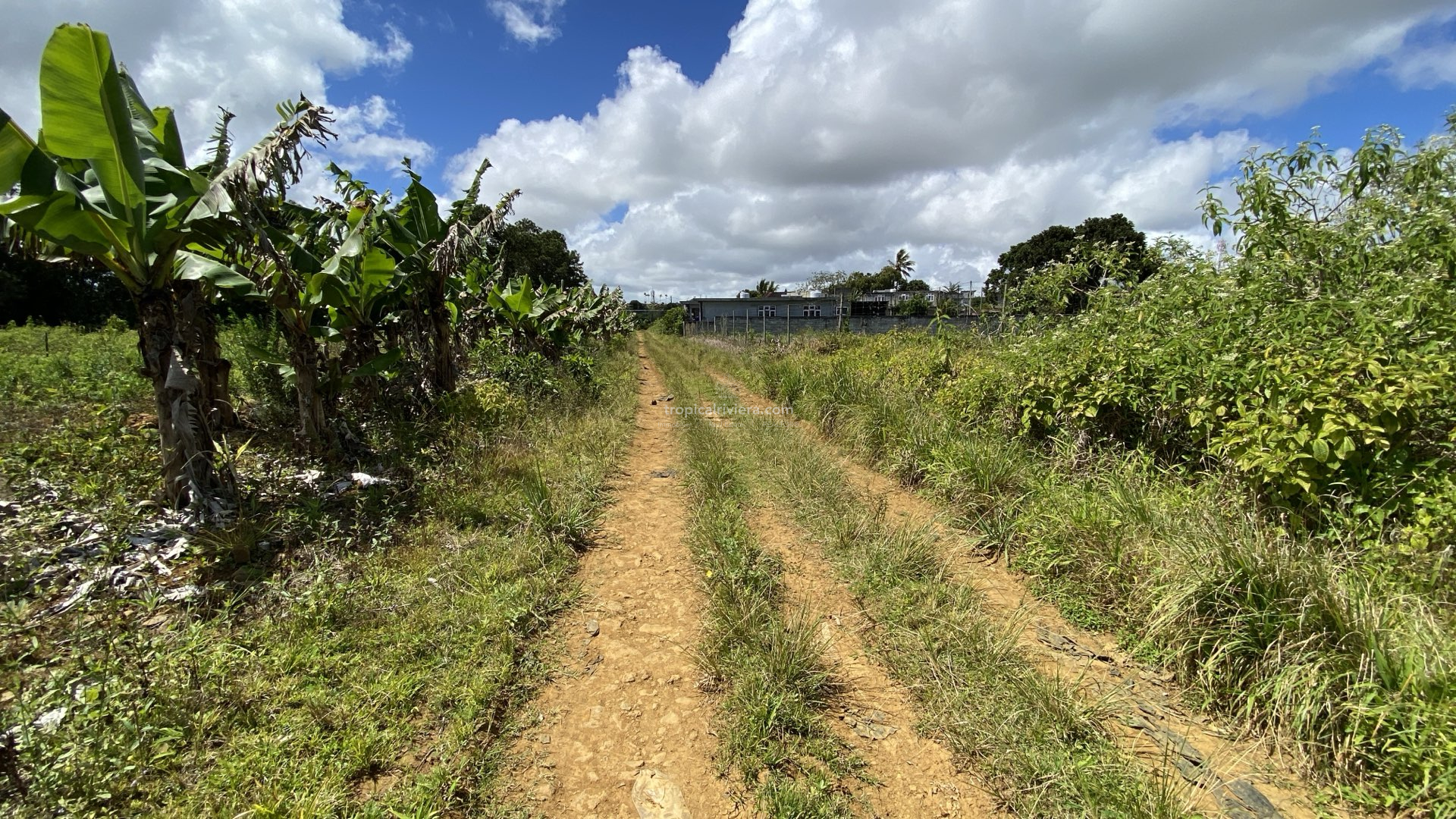 Prime Agricultural Land for Sale in Dagotière, Moka – 1,055 m²